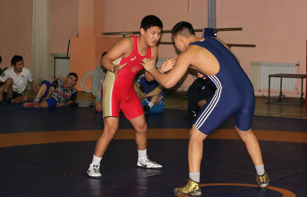 IMG 2529.JPG 14