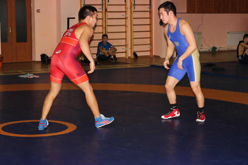IMG 2529.JPG 14