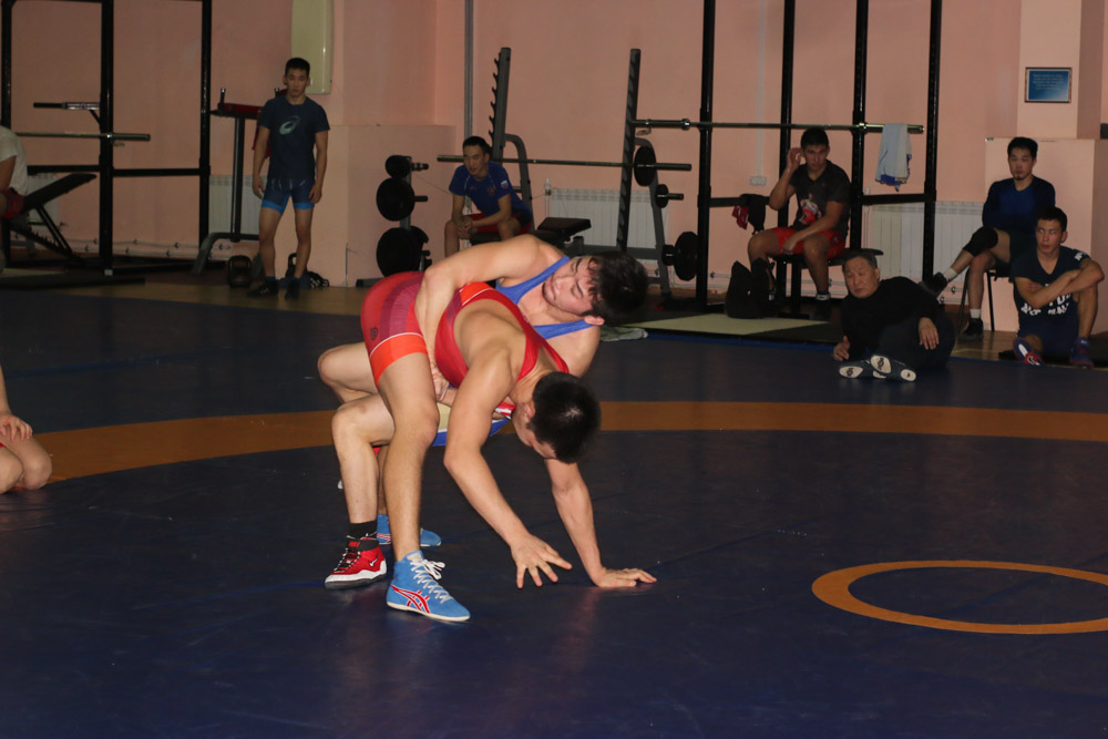 IMG 2529.JPG 14