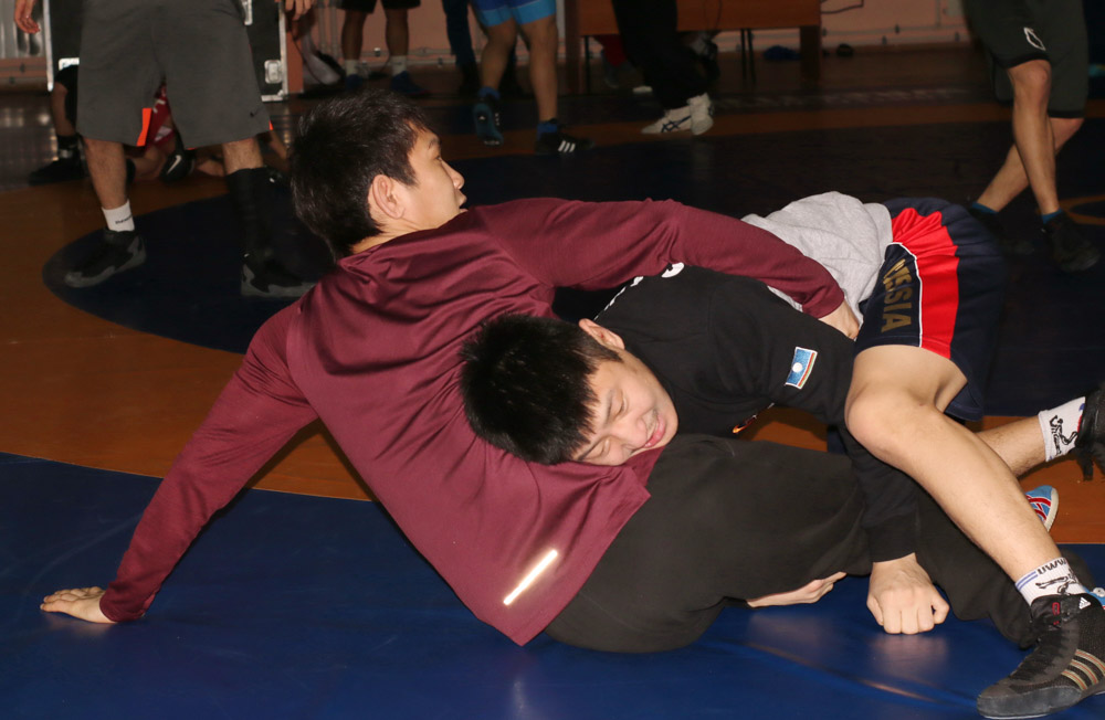 IMG 2529.JPG 14
