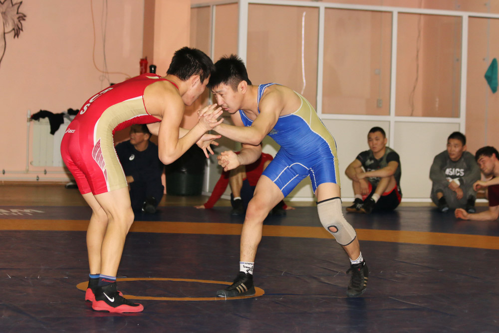IMG 2529.JPG 14