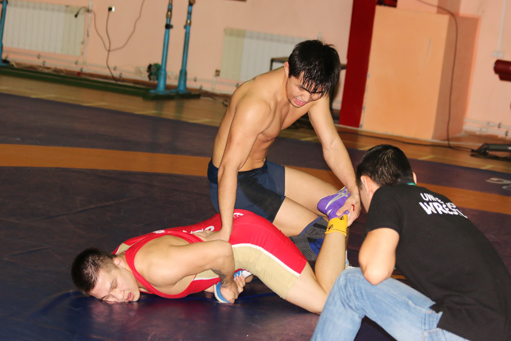 IMG 2529.JPG 14
