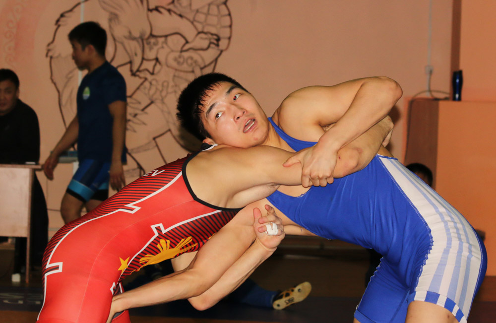 IMG 2529.JPG 14